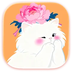 专注 cat 4
