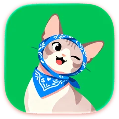 专注 cat 5