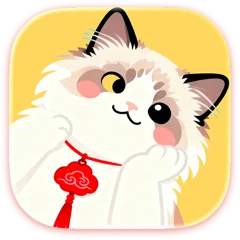 专注 cat 7